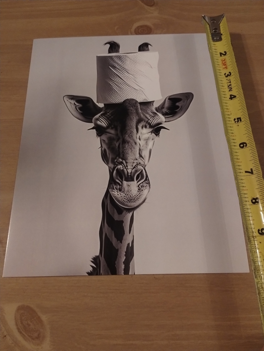 Giraffe Art Print Black White Wall Decor Funny Animal Art Minimalist Bathroom